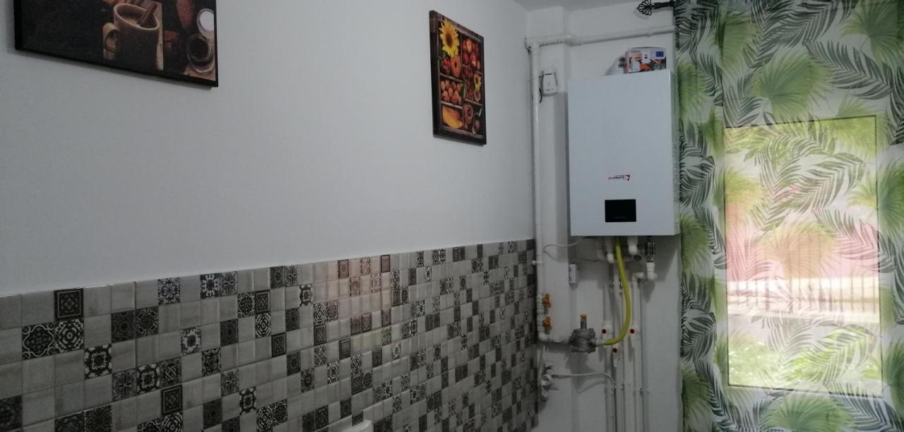 Central City Bacău Dış mekan fotoğraf