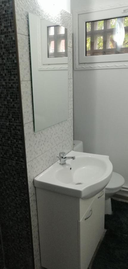 Central City Bacău Dış mekan fotoğraf